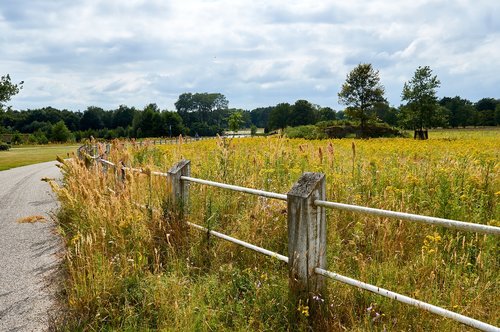 nature  park  landscape