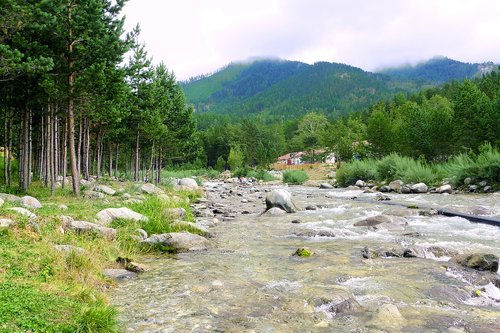 nature  altai  mountain altai