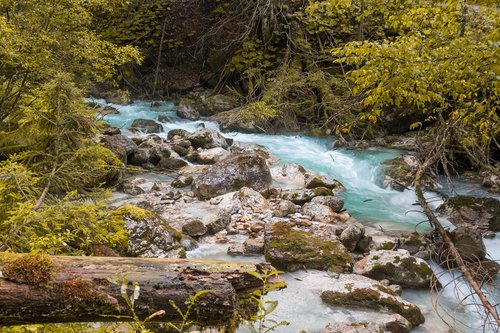 nature  water  river