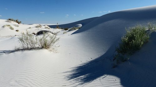 nature  dune  sand