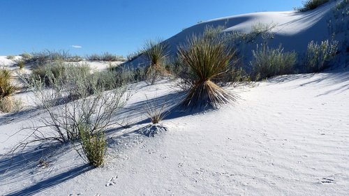 nature  dunes  desert