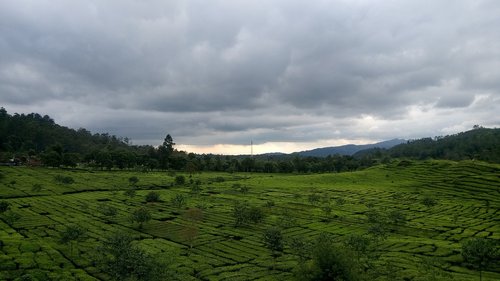 nature  panorama  landscape