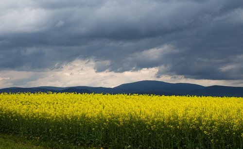 nature  landscape  clouds