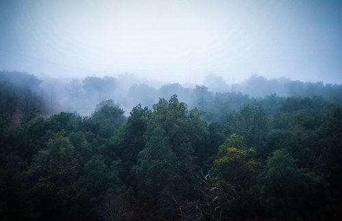 nature  mountains  trees