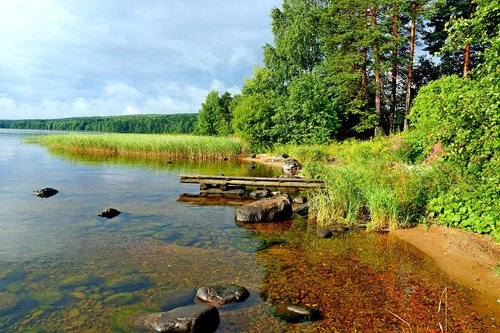 nature  transparent  water