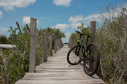 nature  bicycle  end