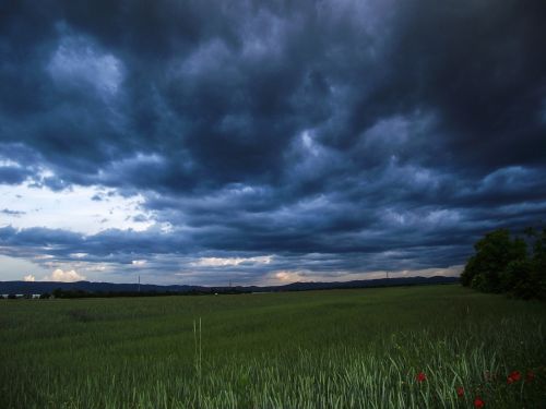 nature landscape green