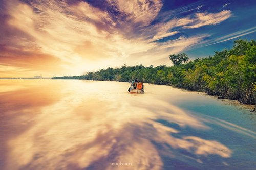 nature  sky  sundarban