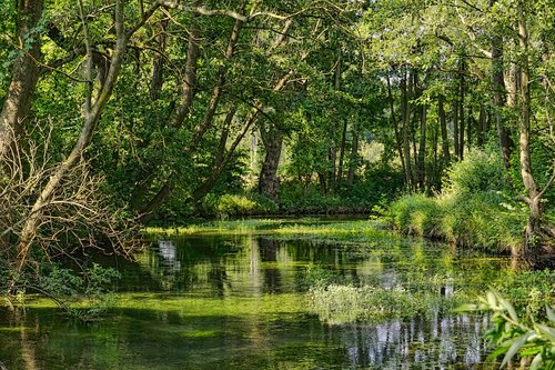 nature  river  landscape