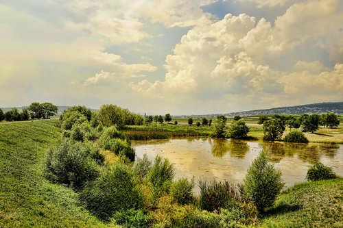 nature  landscape  pond