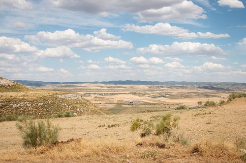 nature  brown  landscape