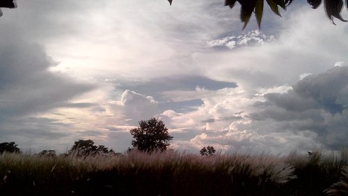 nature  calm  landscape