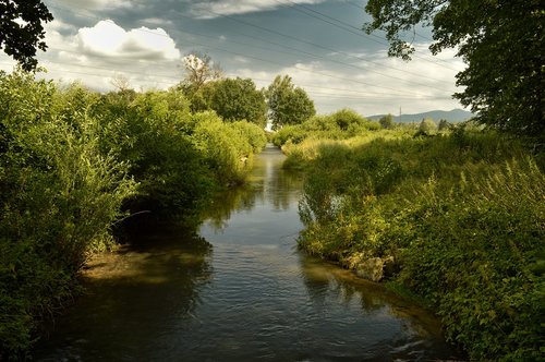 nature  stream  water