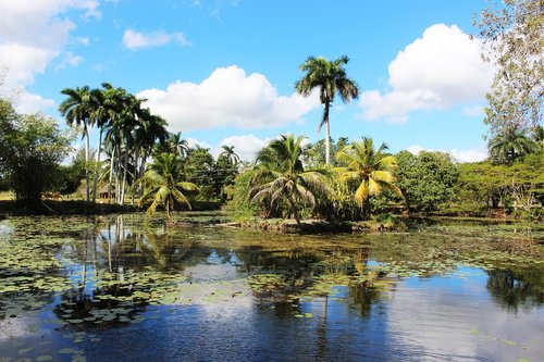 nature  water  lake