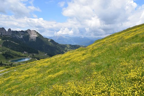 nature  mountain  summer