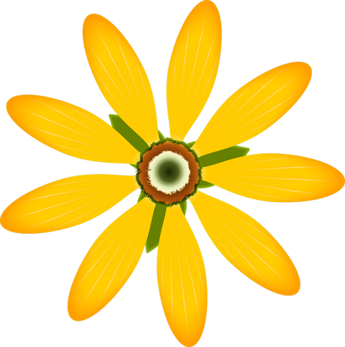 nature  yellow flower  blossom