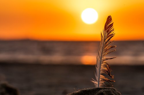 nature  sunset  sky