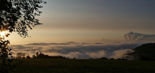 nature  landscape  morning