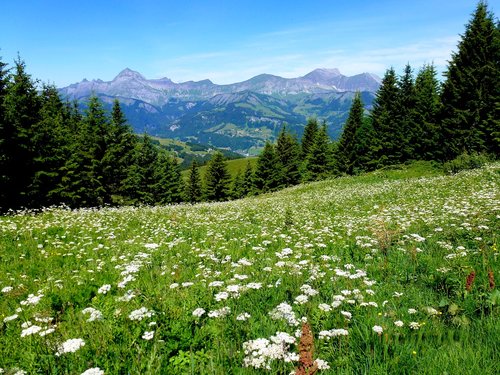 nature  alps  mountains