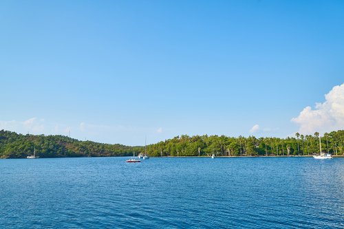 nature  marine  landscape