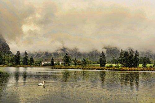 nature  lake  almsee