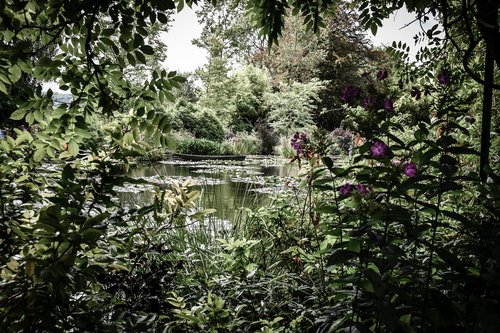 nature  france  landscape