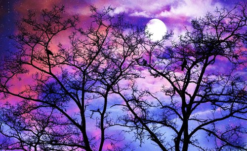nature  moon  moonlit night