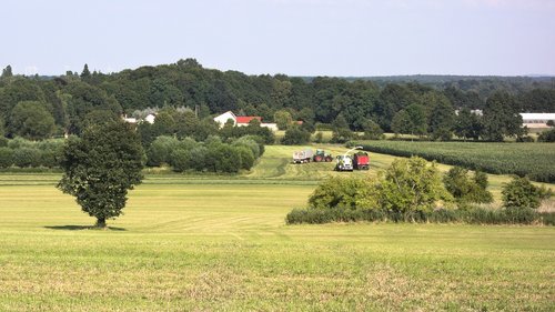 nature  agriculture  landscape