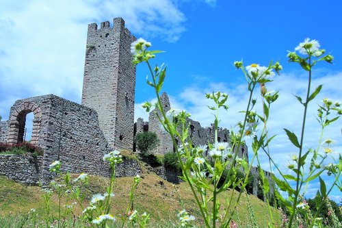 nature  travel  summer