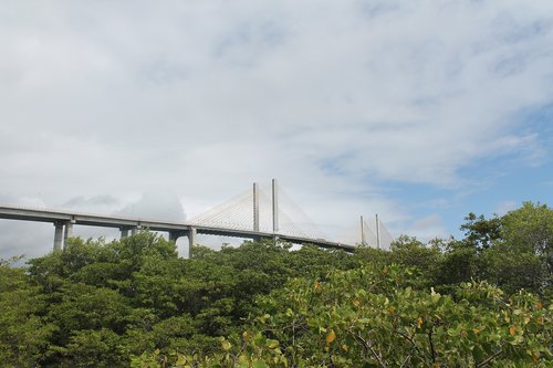 nature  christmas  bridge