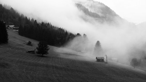 nature  landscape  white