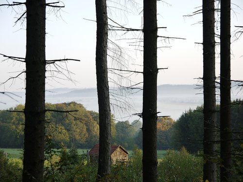 nature  fog  landscape