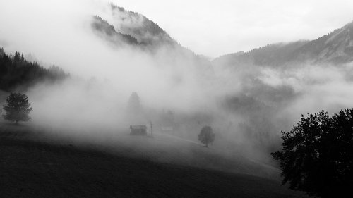 nature  landscape  misty