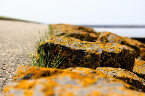 nature  landscape  stones