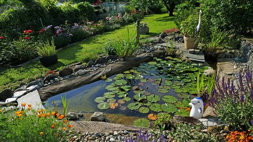 nature  garden  pond