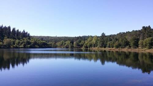 nature  lake  forest