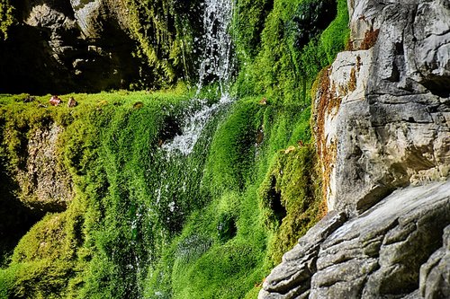 nature  rock  moss