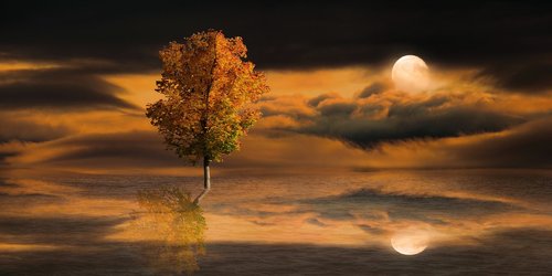 nature  landscape  moon