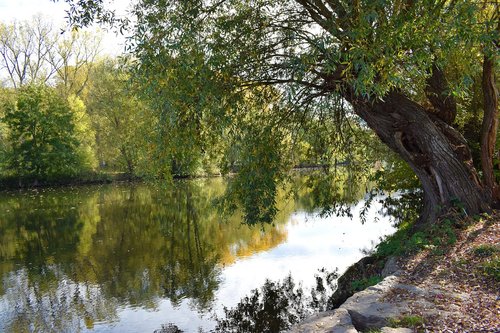 nature  river  bank