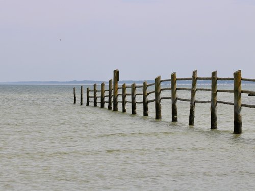 nature  fence  landscape