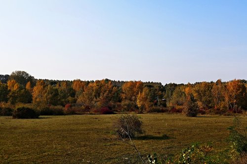 nature  country  meadow