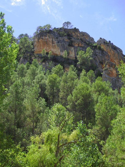 nature  landscape  outdoors