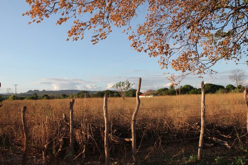 nature  roça  landscape