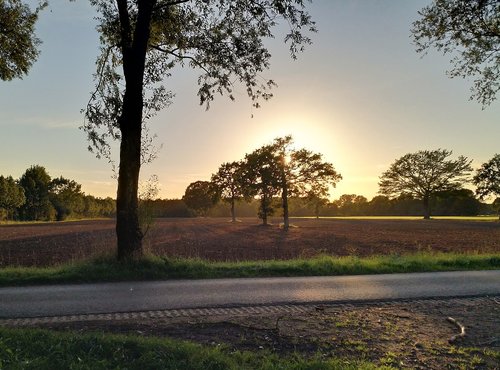 nature  sunset  in the evening