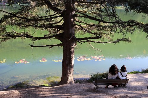 nature  lake  friendship