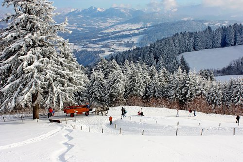 nature  snow  winter