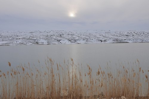 nature  winter  lake