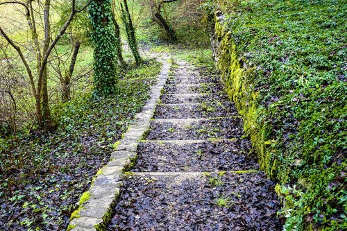 nature  path  steps