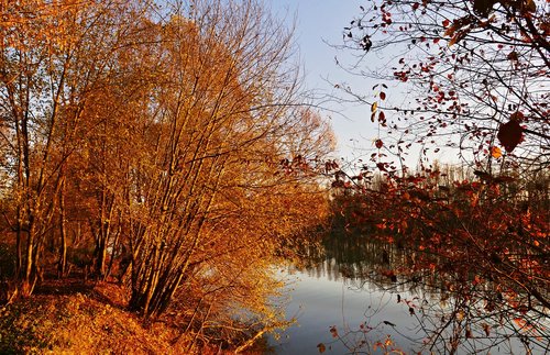 nature  country  lake