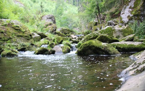 nature  water  wet